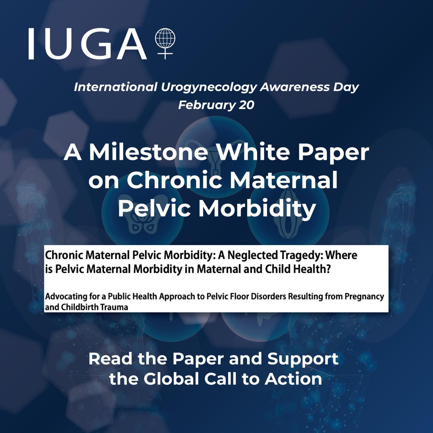 FIUGA white paper.jpg 