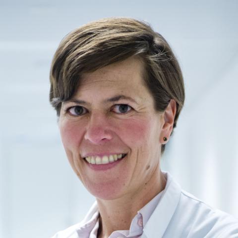 Liesbeth Lewi
