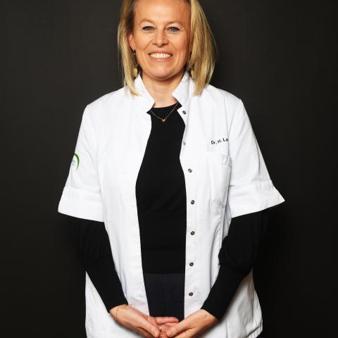 Hilde-logghe